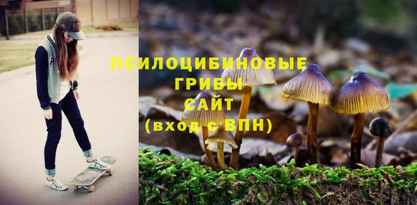 MESCALINE Богданович